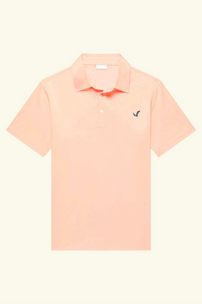 Pack of 3 - Basic Polo